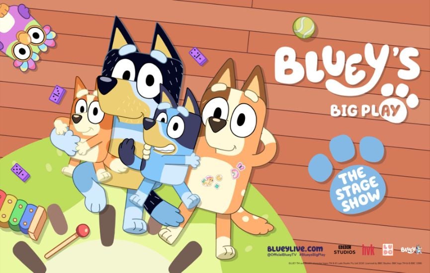 More Info for Bluey's Big Play